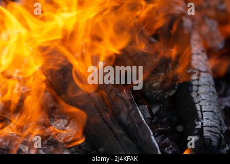 Gelbe Flammenzungen tanzen auf Holzstämmen Stockfoto