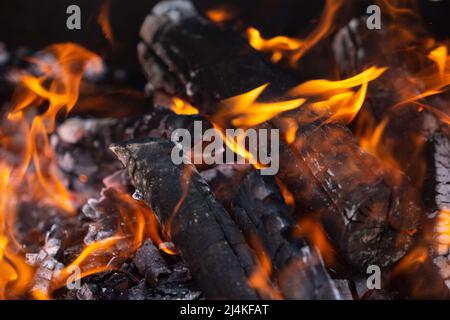 Gelbe Flammenzungen tanzen auf Holzstämmen Stockfoto