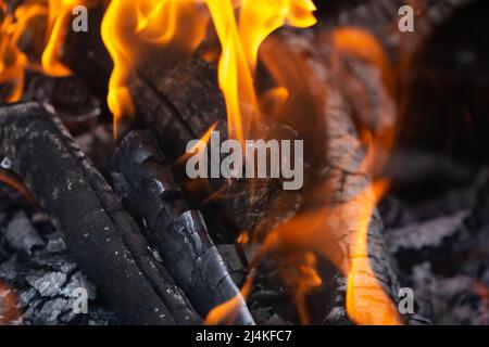 Gelbe Flammenzungen tanzen auf Holzstämmen Stockfoto