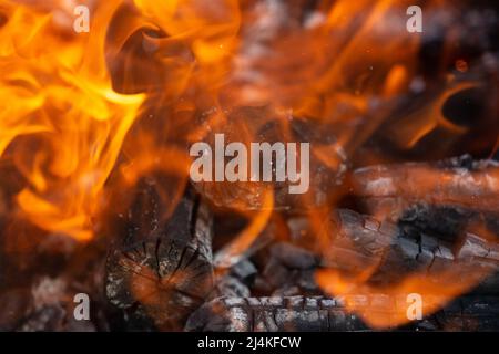 Gelbe Flammenzungen tanzen auf Holzstämmen Stockfoto