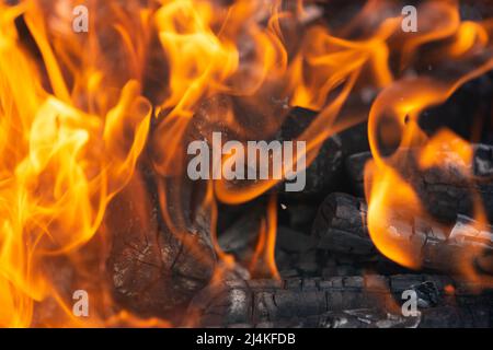 Gelbe Flammenzungen tanzen auf Holzstämmen Stockfoto