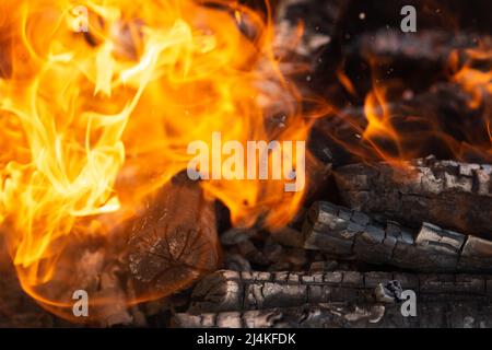 Gelbe Flammenzungen tanzen auf Holzstämmen Stockfoto