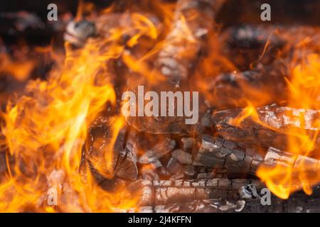 Gelbe Flammenzungen tanzen auf Holzstämmen Stockfoto