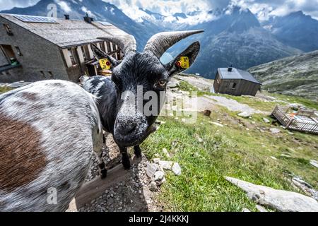 Schlegeisspeicher Wanderung zur Olperer Hütte Stockfoto