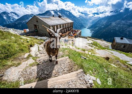 Schlegeisspeicher Wanderung zur Olperer Hütte Stockfoto