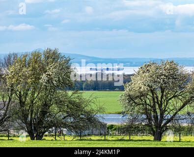 East Lothian, Schottland, Vereinigtes Königreich, 16.. April 2022. UK Wetter: Frühlingssonne. Blossom on Trees umrahmt ein Rohöltanker von Stena Bulk, der im Firth of Forth verankert ist Stockfoto