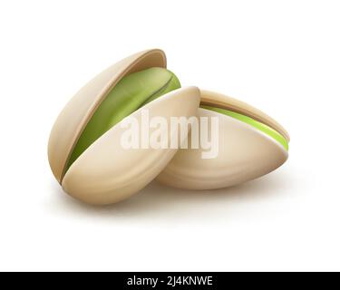 Vector realistic pistachio nuts with nutshell side view isolated on white background Stock Vektor
