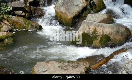 Mountain River. Schneller Strom, der sich zwischen Felsen bewegt. Stockfoto
