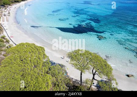 Luftaufnahme mit Palombaggia Strand auf Korsika, Frankreich Stockfoto