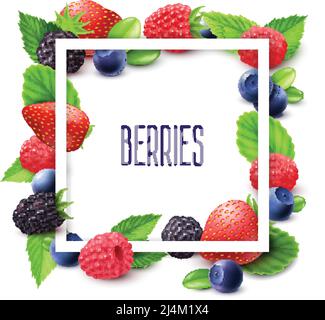 Beeren und Rahmen realistisches Set mit Heidelbeer-Erdbeere und Brombeere vektorgrafik Stock Vektor