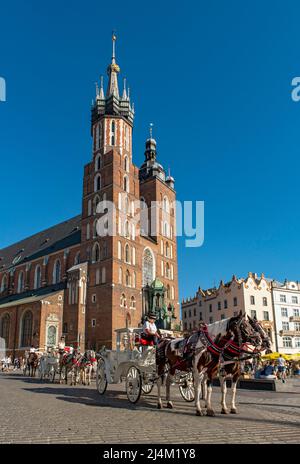 Pferdekutsche vor der Marienbasilika, dem Hauptplatz, Rynek Glowny, Krakau, Polen Stockfoto