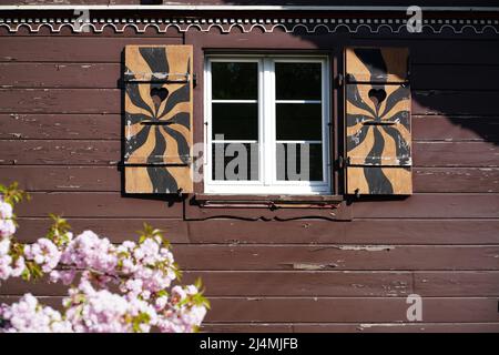 Braunes Fenster mit blühendem Baum vor der Tür Stockfoto