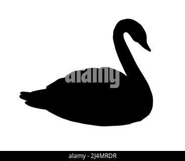 Vektor schwarz Schwan Silhouette isoliert auf weißem Hintergrund Stock Vektor