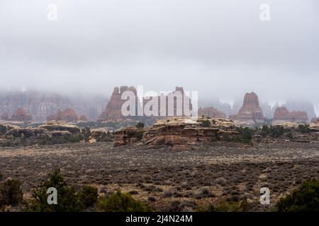 Die Nadeln im Canyonlands National Park werden durch niedrige hängende Wolken verdeckt Stockfoto