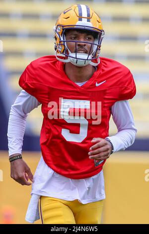 Baton Rouge, LA, USA. 16. April 2022. LSU Quarterback Jayden Daniels (5) joggt in der letzten Woche des Frühjahrs-Fußballspiels im Tiger Stadium in Baton Rouge, LA, vom Spielfeld. Jonathan Mailhes/CSM/Alamy Live News Stockfoto