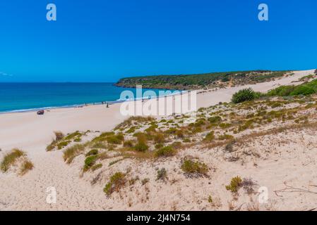 Sonniger Tag an der Playa de Bolonia in der andalusischen Provinz Spanien Stockfoto