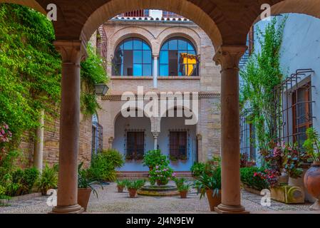 Blick auf einen traditionellen Innenhof eines Hauses in der spanischen Stadt cordoba Stockfoto