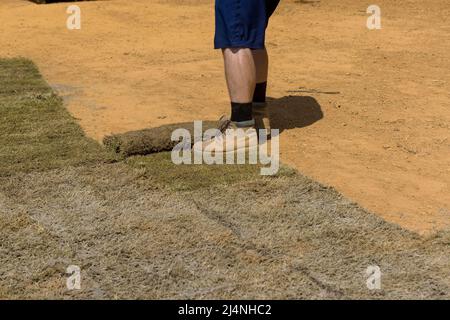 Der Gärtner rollt für den neuen Gartenrasen den Liegesod ab Stockfoto