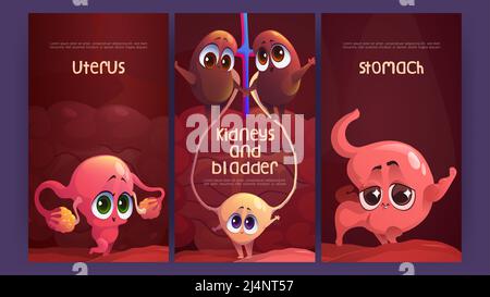 Cartoon medizinische Poster mit niedlichen Uterus, Magen, Nieren und Blase lustige Charaktere. Anatomische positive Persönlichkeiten, gesunder innerer menschlicher Körper o Stock Vektor