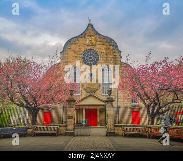 Canongate Kirk, Canongate, Royal Mile, Edinburgh, Großbritannien. 16. April 2022. VEREINIGTES KÖNIGREICH. Wetter. Die rosa Kirschblüte blüht vor den Eingangstoren des Canongate Kiek an der Royal Mile in Edinburgh. Der Kirk of the Canongate, oder Canongate Kirk, dient der Pfarrei Canongate in der Altstadt von Edinburgh in Schottland. Es ist eine Gemeinde der Church of Scotland. Die Gemeinde umfasst den Palast von Holyroodhouse und das schottische Parlament. Quelle: phil wilkinson/Alamy Live News Stockfoto