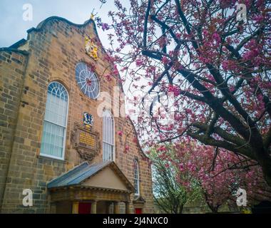 Canongate Kirk, Canongate, Royal Mile, Edinburgh, Großbritannien. 16. April 2022. VEREINIGTES KÖNIGREICH. Wetter. Die rosa Kirschblüte blüht vor den Eingangstoren des Canongate Kiek an der Royal Mile in Edinburgh. Der Kirk of the Canongate, oder Canongate Kirk, dient der Pfarrei Canongate in der Altstadt von Edinburgh in Schottland. Es ist eine Gemeinde der Church of Scotland. Die Gemeinde umfasst den Palast von Holyroodhouse und das schottische Parlament. Quelle: phil wilkinson/Alamy Live News Stockfoto