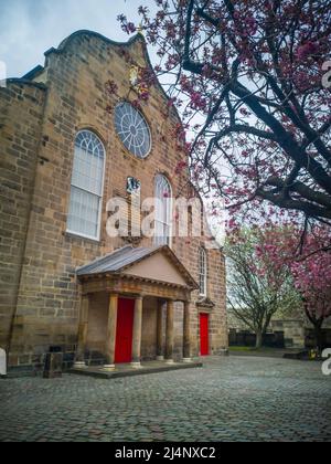 Canongate Kirk, Canongate, Royal Mile, Edinburgh, Großbritannien. 16. April 2022. VEREINIGTES KÖNIGREICH. Wetter. Die rosa Kirschblüte blüht vor den Eingangstoren des Canongate Kiek an der Royal Mile in Edinburgh. Der Kirk of the Canongate, oder Canongate Kirk, dient der Pfarrei Canongate in der Altstadt von Edinburgh in Schottland. Es ist eine Gemeinde der Church of Scotland. Die Gemeinde umfasst den Palast von Holyroodhouse und das schottische Parlament. Quelle: phil wilkinson/Alamy Live News Stockfoto