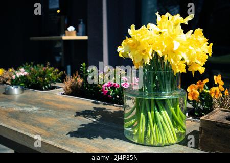 Bouquet von gelben Narzissen in Glas runde Vase auf Holztisch der Café-Terrasse. Stockfoto