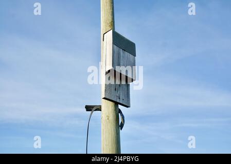 Hölzerne Fledermausboxen auf einem Holzmast / Fledermausbox / Wildtierhaus / Naturlebensraum / Schlagkasten, Schlagkästen Stockfoto