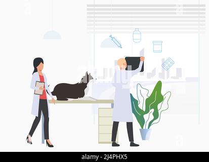 Tierärzte untersuchen Hund in Tierarztklinik. Tierbehandlung, Beratung, Tierpflegekonzept. Vektorgrafik kann für Themen wie Gesundheit, V verwendet werden Stock Vektor