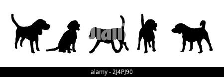 Set von Silhouetten Hund isoliert auf weißem Hintergrund. Beagle Hund läuft, steht und sitzt. Kollektion von schwarzen Eckzänen Silhouetten. Vektorgrafik Stock Vektor
