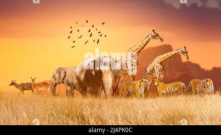 World Wildlife Day Gruppen von wilden Tieren wurden in großen Herden auf dem offenen Feld am Abend versammelt, als die goldene Sonne schien. Stockfoto