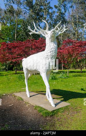 Statue in einem Garten von einem weißen Hirsch/Reh Stockfoto