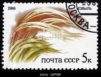 RUSSLAND - UM 1986: Eine in Russland gedruckte Marke zeigt Grass, Flora russischer Steppen, um 1986 Stockfoto