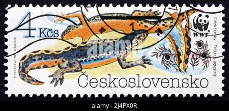 TSCHECHOSLOWAKEI - UM 1989: Eine in der Tschechoslowakei gedruckte Marke zeigt den Alpinen Newt, Triturus alpestris, Amphibien, World Wildlife Fund, um 1 Stockfoto