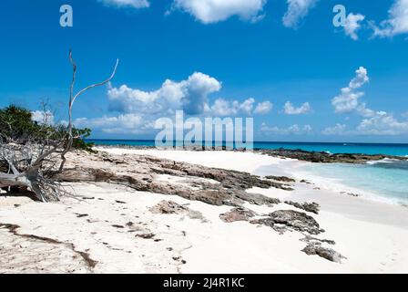 Die Sand- und felsige Strandlandschaft auf der unbewohnten Insel Half Moon Cay (Bahamas). Stockfoto