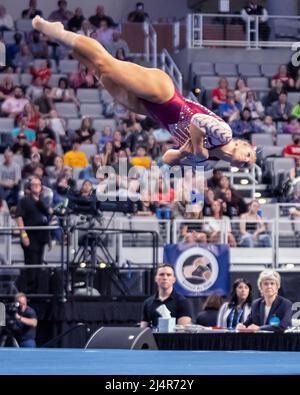 Salt Lake City, USA. 16. April 2022. Ragan Smith von der University of Oklahoma erzielt 9,7375 Punkte bei Bodenübungen und hilft ihrem Team, die Meisterschaft bei den NCAA Women's Gymnastics Championships in Dickie's Arena, Fort Worth, Texas, am 16. April 2022 zu gewinnen (Foto von Jeff Wong/Sipa USA). Quelle: SIPA USA/Alamy Live News Stockfoto