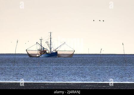 Fischtrawler auf der Nordsee Stockfoto