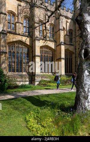 Exeter College Gardens, Oxford Stockfoto