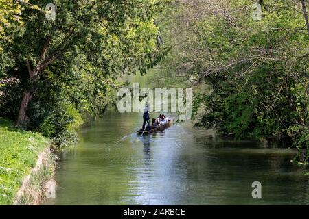 Punting auf dem Fluss Cherwell in Oxford. Stockfoto