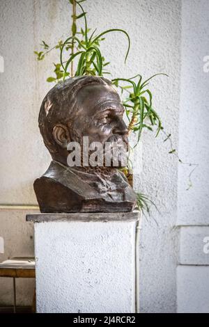 07 19 2019 Tiflis Georgien   Prinz Ilia Chavchavadze- georgische Journalistin und Dichterin - Büste auf Sockel gegen Stuckwand und Pflanze. Stockfoto