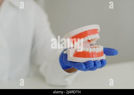 Frau Zahnärztin Kieferorthopäde in weißem Labormantel hält Kieferzahnmodell in der Hand. Konzept der Mundhygiene. Stockfoto