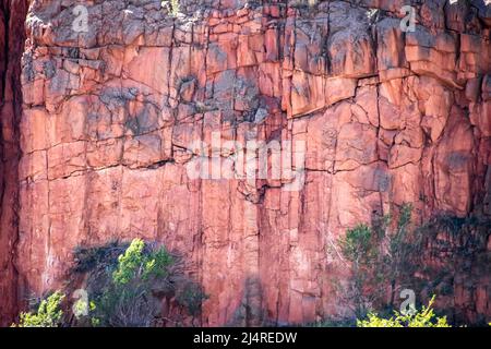 Nahaufnahme Detail oder Hintergrund der roten Felsen Klippe mit Rissen und Brocken und ein wenig Vegetation Stockfoto