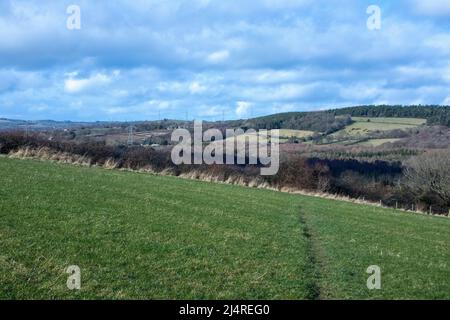 Blick über Lanchester Valley, County Durham im frühen Frühjahr Stockfoto