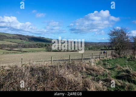 Blick über Lanchester Valley, County Durham im frühen Frühjahr Stockfoto