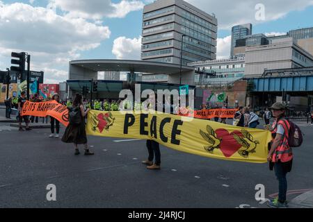 XR verpflichtet sich, in London vier Brücken zu übernehmen, darunter Westminster, Lambeth, Waterloo & Blackfriars Bridge und die Front der Tate Modern Stockfoto