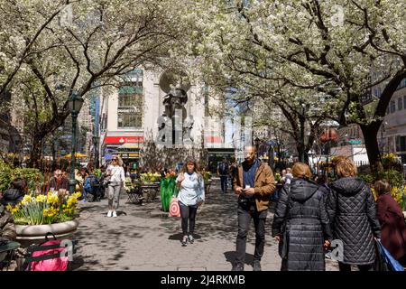 Herald Square in Spring ist gefüllt mit blühenden Bäumen, Midtown, New York, NY, USA. Stockfoto