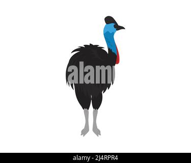 Detaillierte Cassowary Illustration mit stehenden Gestenvektor Stock Vektor