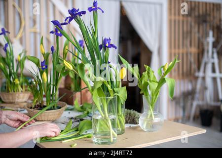 Eleganter Frühling, Osterblumen-Arrangements aus Iris, Tulpen, Narzissen und Weidenzweigen, die sich bei Tageslicht zu Hause auf dem Tisch befinden. Stockfoto