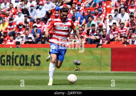 Granada, Granada, Spanien. 17. April 2022. Jorge Molina von Granada CF fährt während des Liga-Spiels zwischen Granada CF und UD Levante im Nuevo Los Carmenes Stadion am 17. April 2022 in Granada, Spanien, auf das Feld. (Bild: © José M Baldomero/Pacific Press via ZUMA Press Wire) Stockfoto