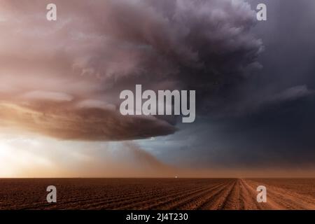 Über einem Feld in der Nähe von Lubbock, Texas, zieht sich Staub in eine supercell-Sturmwolke Stockfoto